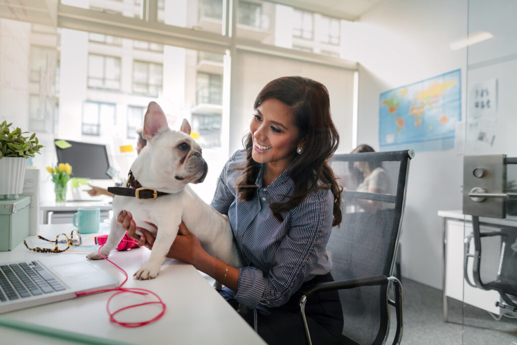 More than half of European workers would consider changing jobs for a pet-friendly workplace 