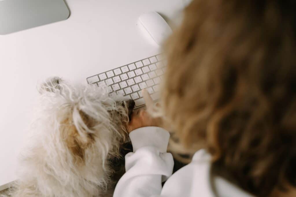 If we’re serious about compassionate workplaces, it’s time to talk about pet bereavement leave